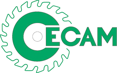 logo cecam